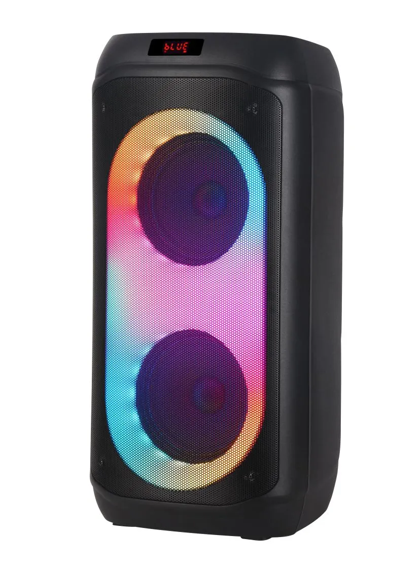 JBR 810 (2 Wireless mics)